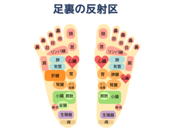 リフレクソロジーとは リフレクソロジーの効果や種類を一挙解説 Theraphilia